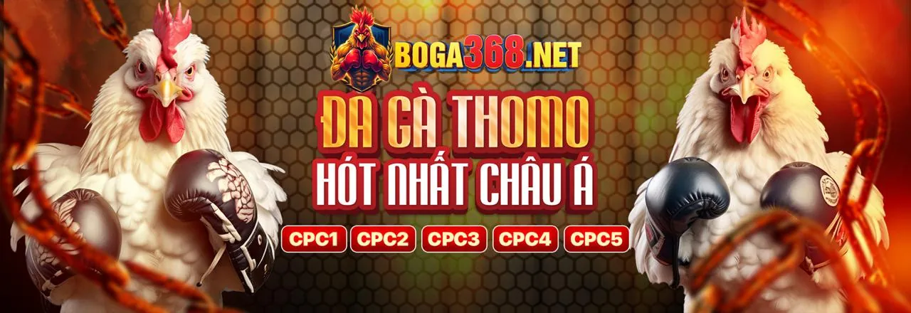Đội ngũ hỗ trợ khách hàng chuyên nghiệp của 98win1 chính thức