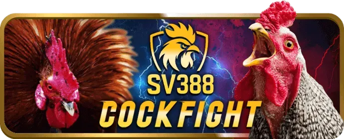 Bài viết phổ biến về ưu đãi 98win1 chính thức